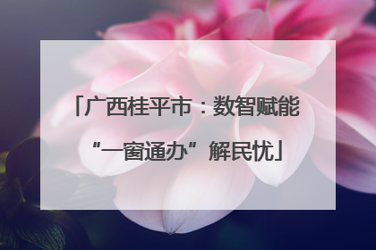 广西桂平市：数智赋能“一窗通办”解民忧